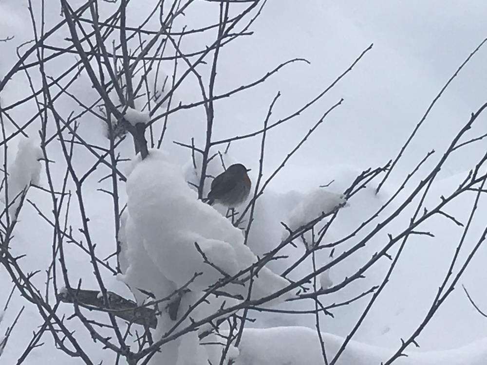 25 santim kar yağdığını duyan Konya yoluna akın etti 14